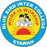 Blue Bird Inter College
